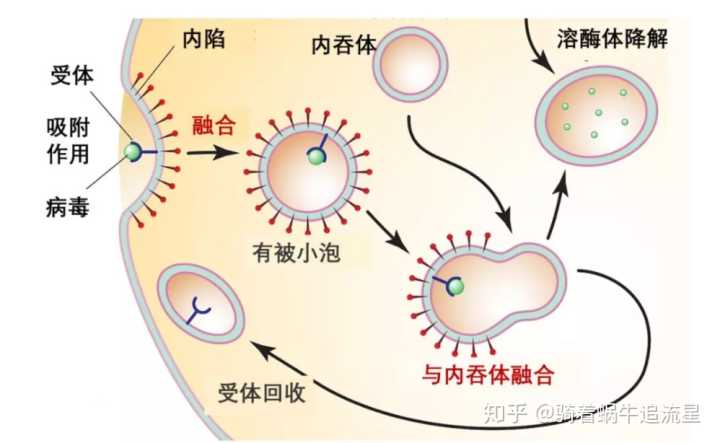 横山社区：好人好事暖人心_米兰官方网站
