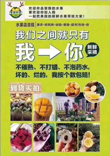 【milan米兰】郭士强:上海一战准备不充分 全队被打得一塌糊涂